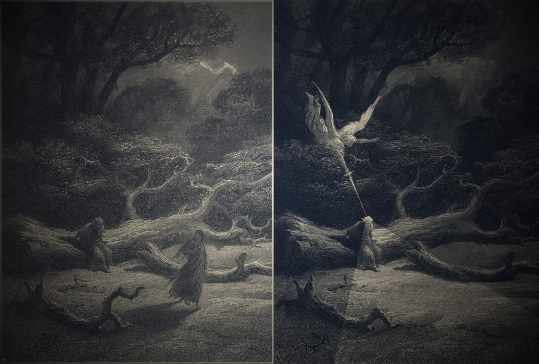 Tending the Garden of Time